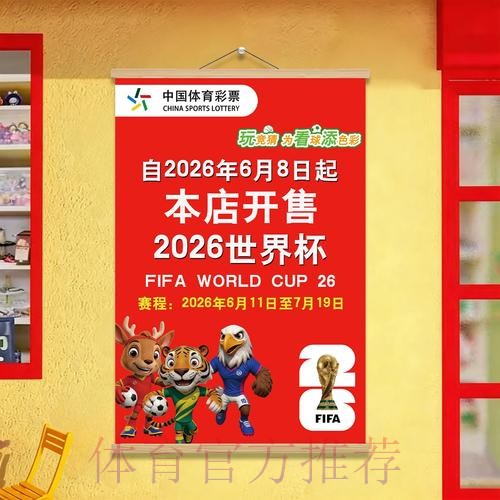 世界杯投注要点全解：技巧、策略与官方建议